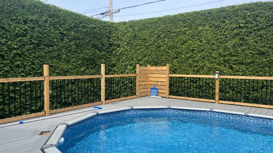 Taille de haie de cèdres à Gatineau et en Outaouais