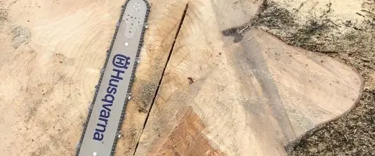 Élagage et abattage d'arbres à Gatineau et en Outaouais