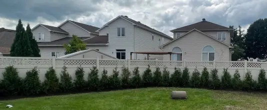 Installation de haie de cèdres