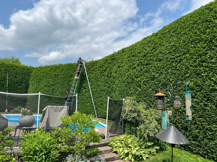 symetric_realisation_1_1x