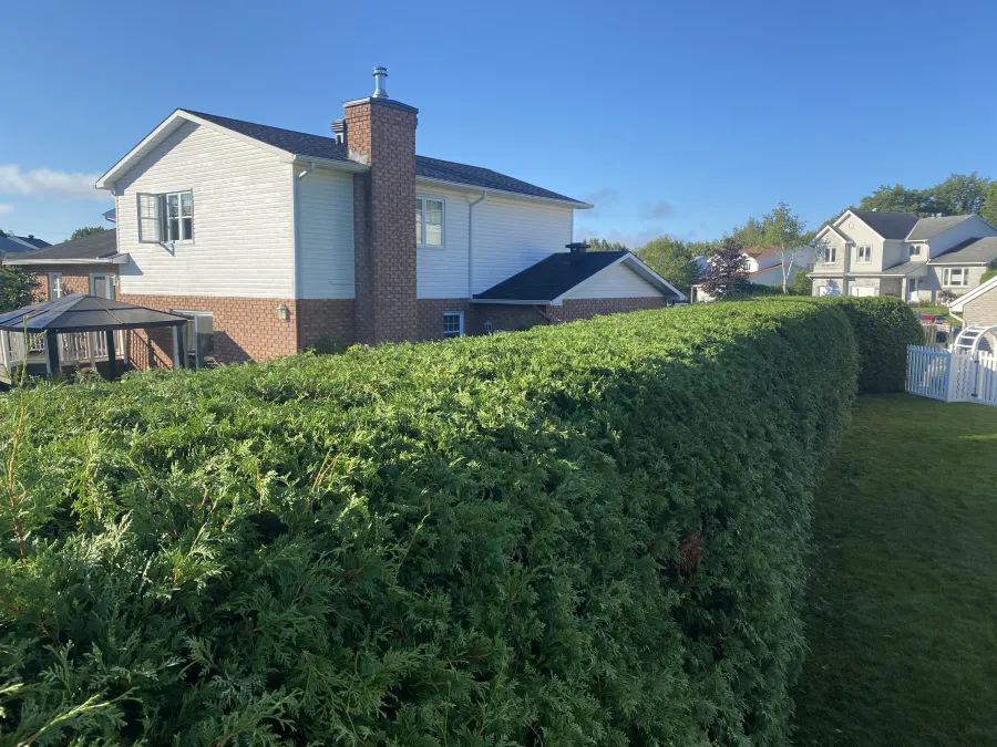 symetric_realisation_3_1x