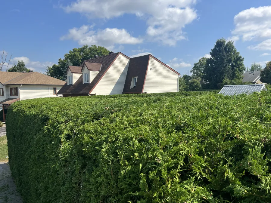 symetric_realisation_4_1x